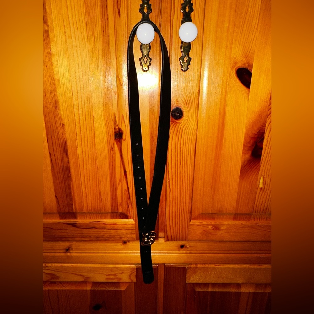 CC Accessory Belt